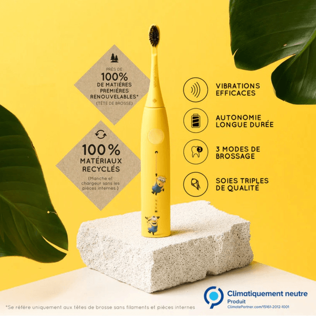 HAPPYBRUSH Starter set Les Minions Vibe 3