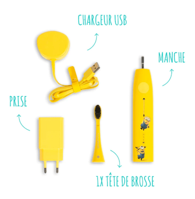 HAPPYBRUSH Starter set Les Minions Vibe 3
